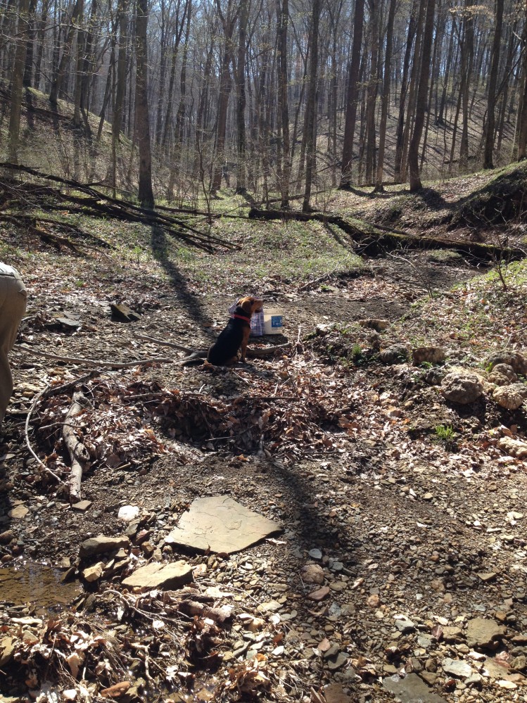 Geode Hunt in remote Southern Indiana