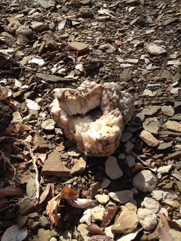 Geode Hunt in remote Southern Indiana