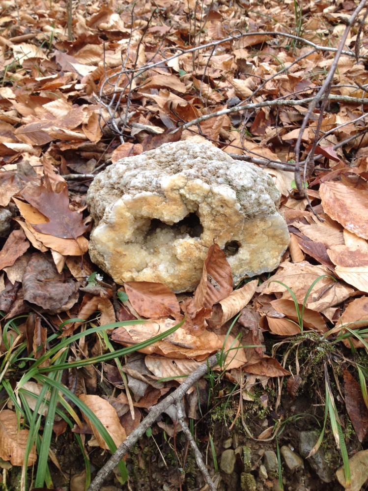 Geode Hunting in Indiana American Geode