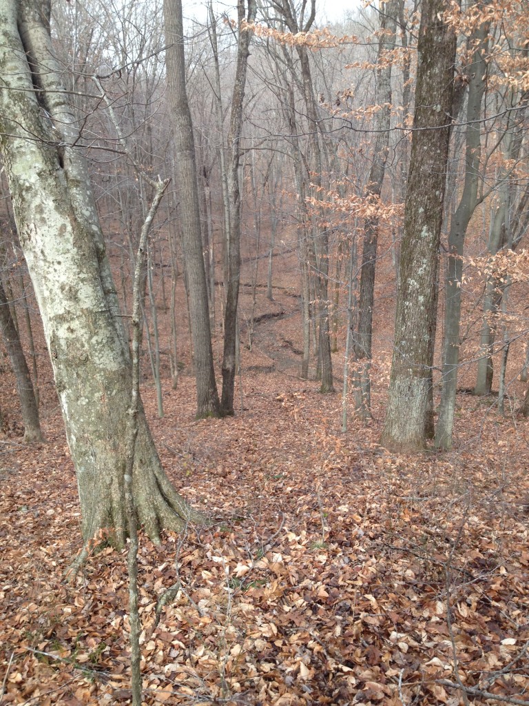 Geode Hunting in Indiana American Geode